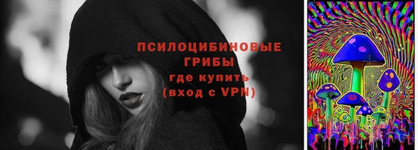 твердый Алексеевка
