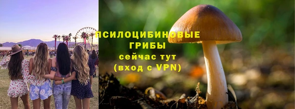 дживик Алзамай