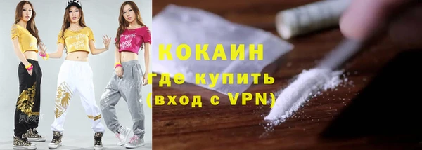твердый Алексеевка