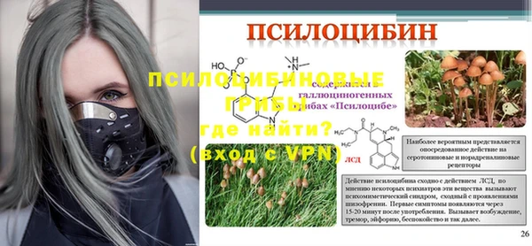 дживик Алзамай