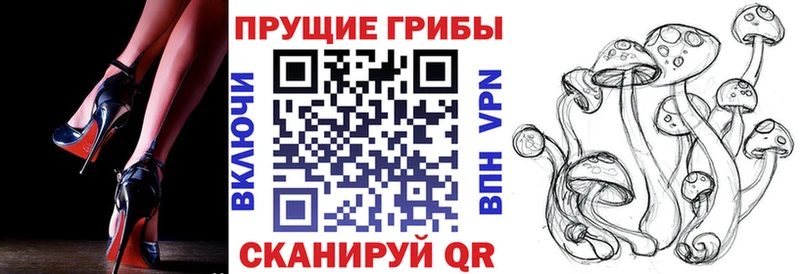 kraken вход  Лянтор  Галлюциногенные грибы Magic Shrooms  как найти закладки 
